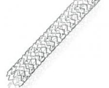 XIENCE V Everolimus Eluting Coronary Stent System